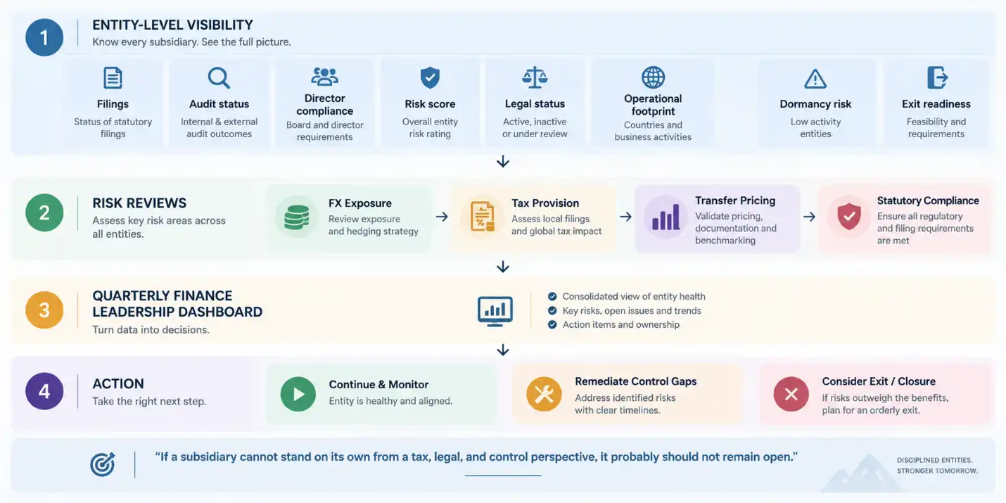 Four-step framework for subsidiary risk management: entity-level visibility, risk reviews, quarterly finance dashboard, and action planning
